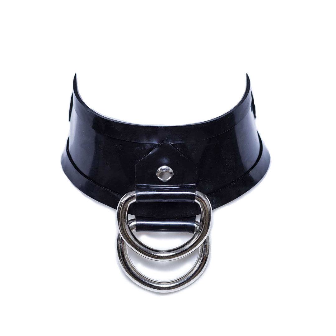 Double D-Ring Collar