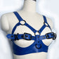Royal Blue Buckle Harness