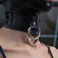 Double D-Ring Collar